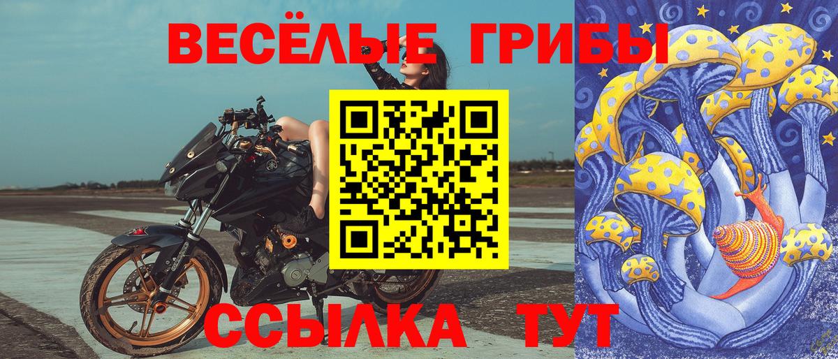 Псилоцибиновые грибы MAGIC MUSHROOMS Конаково